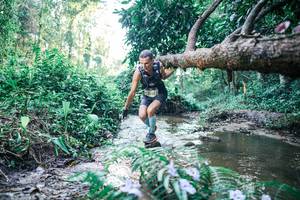 BIB: 
                            <button type="button" onclick="openModal(25430399)" class="btn btn-primary btn-sm float-right btn-popup" data-toggle="modal" data-target=".modal-high-quality">
                        <i class="fas fa-shopping-cart"></i> Add to Cart
                    </button>
                                            <button type="button" onclick="isThisMe(25430399, true)" class="btn btn-success btn-sm float-right btn-popup btn-isme hidden" data-toggle="tooltip" data-placement="bottom" title="นี่คือรูปของคุณใช่ไหม คลิกที่นี่เพื่อเอาเข้าอัลบั้ม">
                        <i class="fas fa-plus"></i> Add to album
                    </button>
                    <button type="button" onclick="isThisMe(25430399, false)" class="btn btn-warning btn-sm float-right btn-popup btn-isnotme hidden">
                        <i class="fas fa-ban"></i> Remove from album
                    </button>